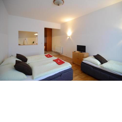 Apartments Karlin