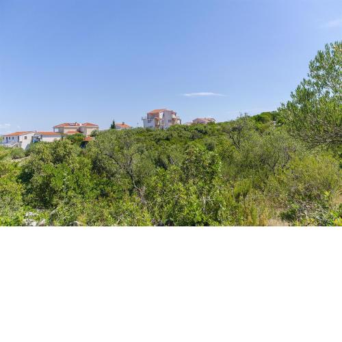 Apartments Kazimir
