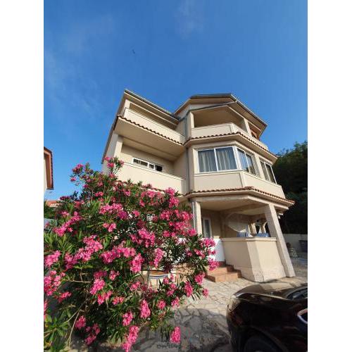 Apartments Kim