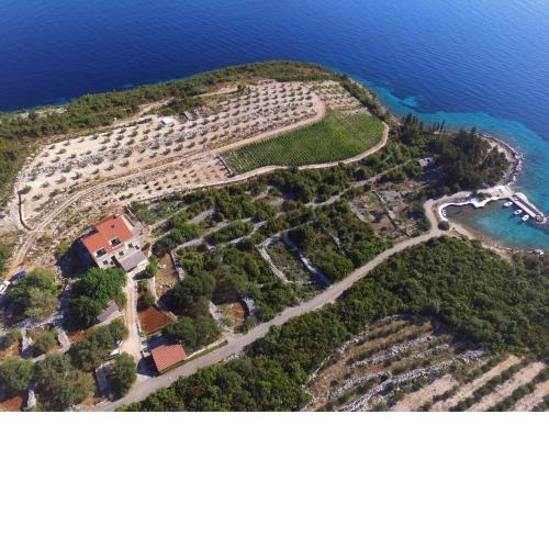 Apartments Koras