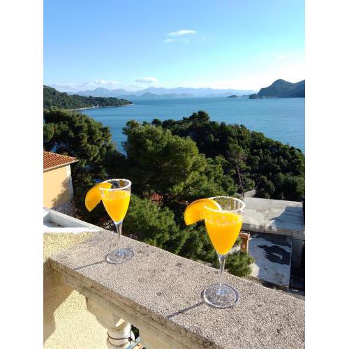 Apartments Laura Mljet