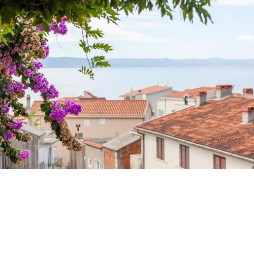 Apartments Leut 80m from the Sea