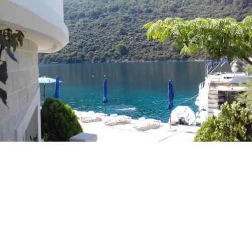 Apartments Livia