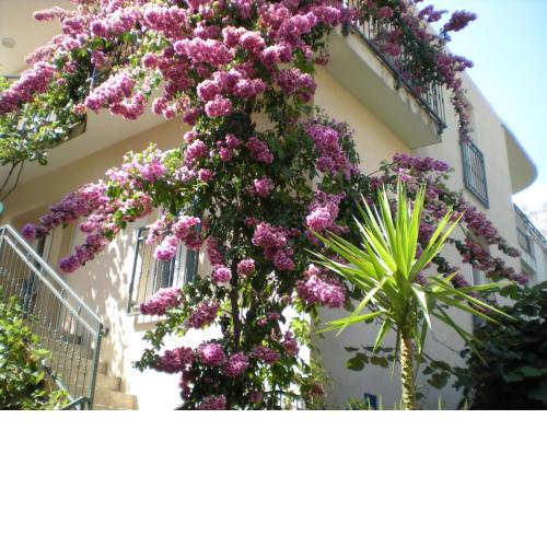 Apartments Marino