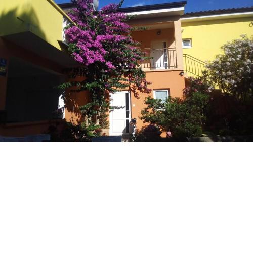 Apartments Midi