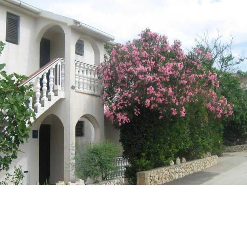 Apartments MINT Povljana - 50m from sandy beach
