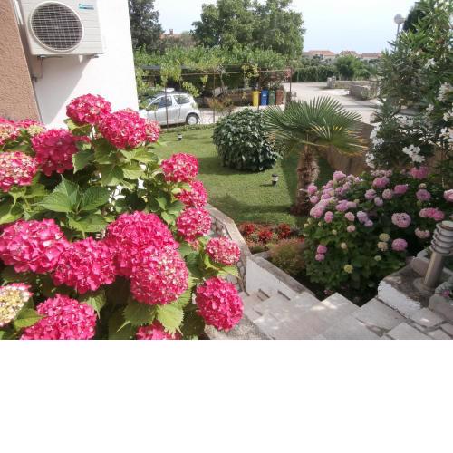 Apartments Mira Krk
