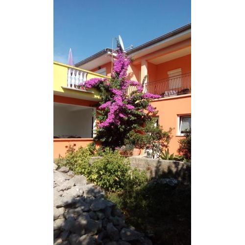 Apartments Mirjana