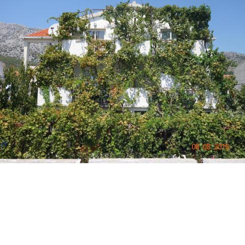 Apartments Mistral Orebic