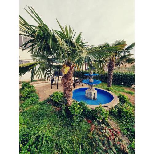 Apartments Nada