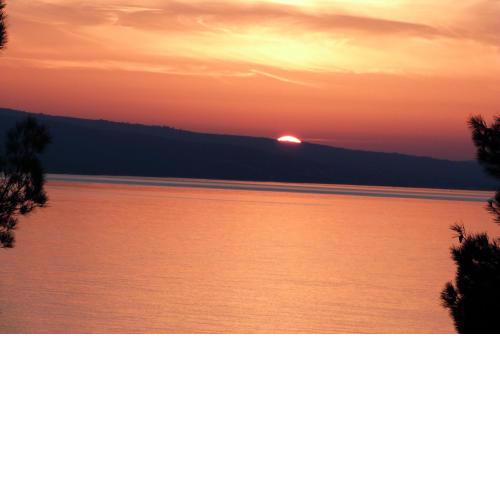 Apartments Nedo Dalmatia