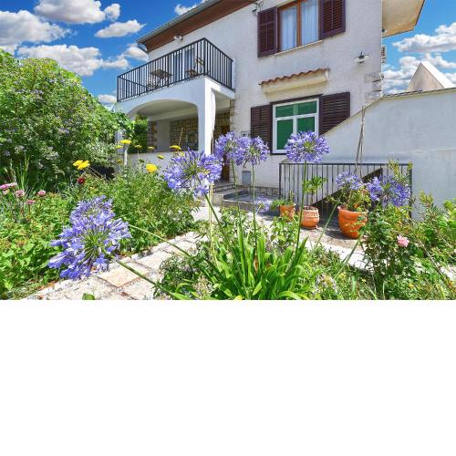 Apartments Nikola 2113