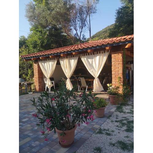 Apartments Olivera