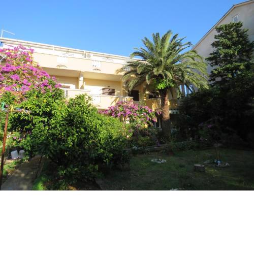 Apartments Palma Novalja