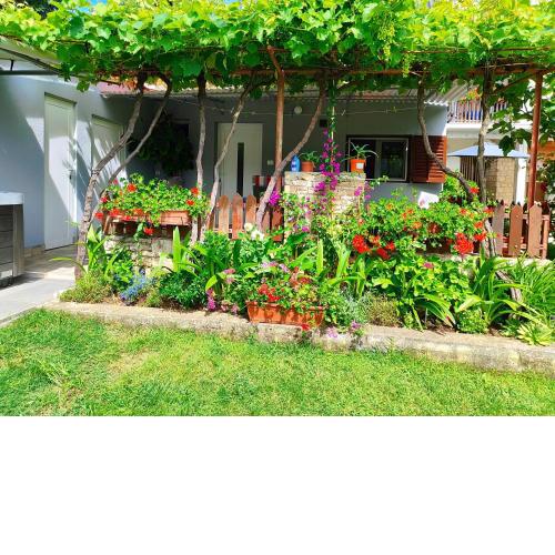 Apartments Pavao 1402