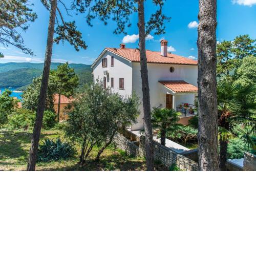 Apartments Pino Rabac