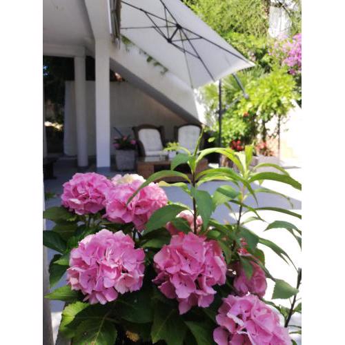Apartments Poretti for 2,in Center Parking Free in the yard,6 min beach walk