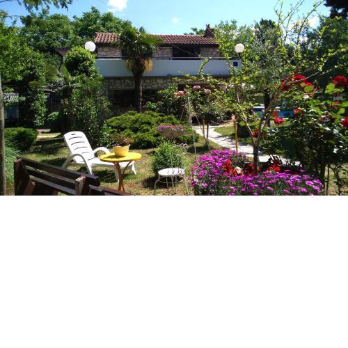 Apartments Rale