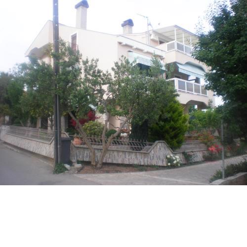 Apartments & Room Diana
