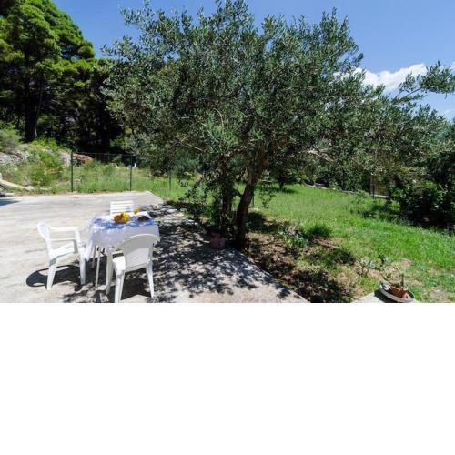 Apartments & Rooms Tapera- Standard One Bedroom Apartment with Terrace and Garden View