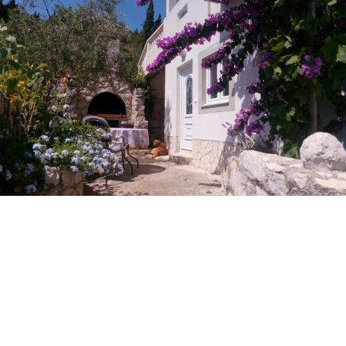 Apartments Rosa