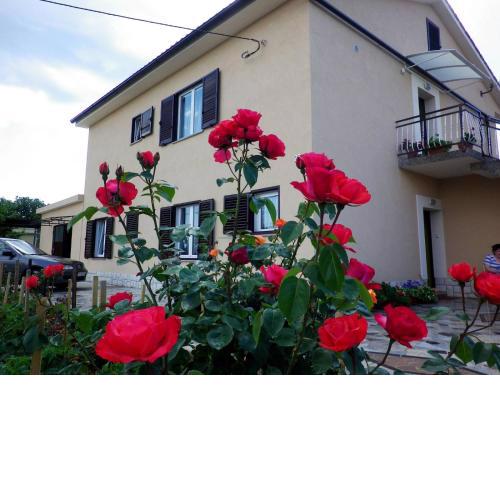 Apartments Rusin
