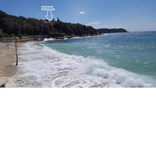 Apartments Seafront Villa