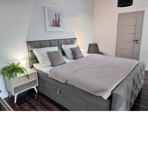 Apartments Sered