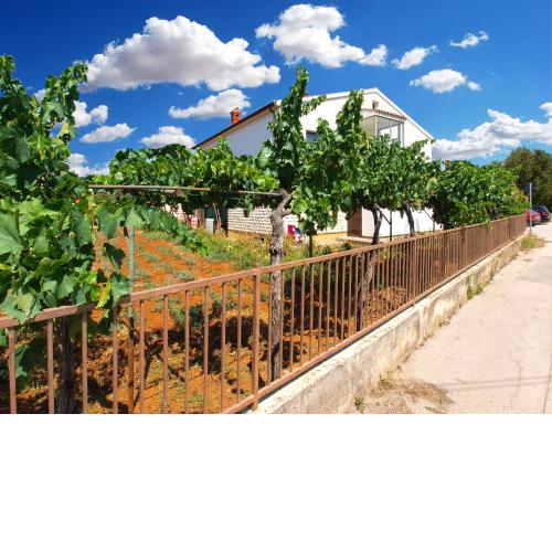 Apartments Stanko 1468