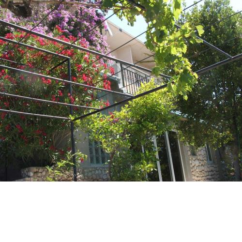 Apartments Stari Pavle