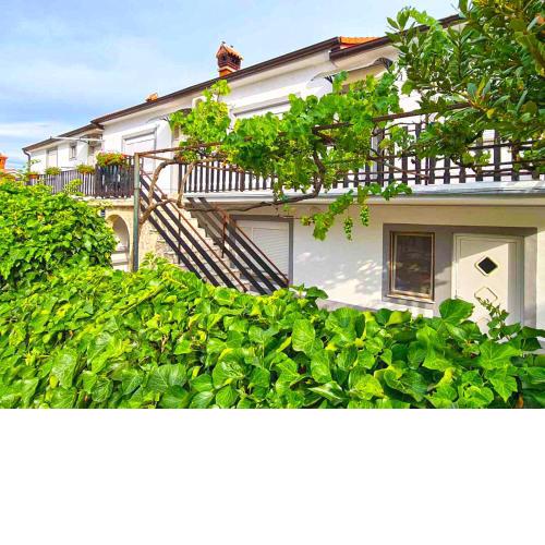 Apartments Stojan 320