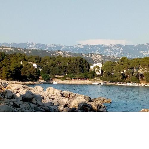 Apartments Suha Punta - Crnic