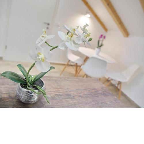 Apartments Sweet Escape - Studio Apartment with Terrace and Sea View 1