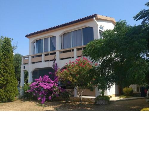 Apartments Topić