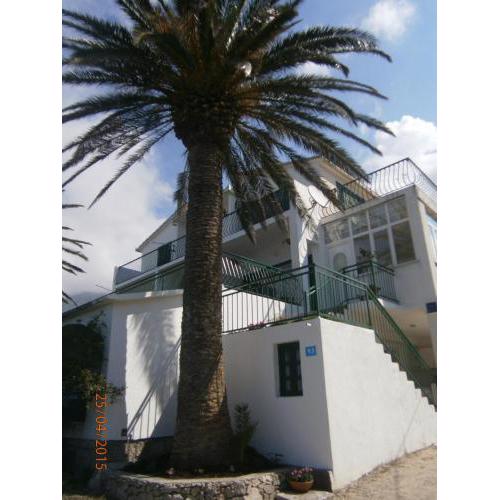 Apartments Tri Palme