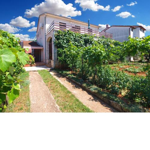 Apartments Velimir 421