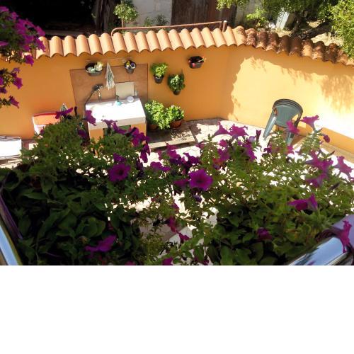 Apartments Villa Elda