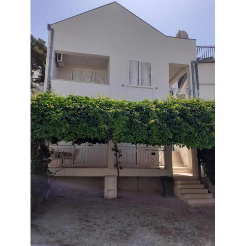 Apartments Vinea