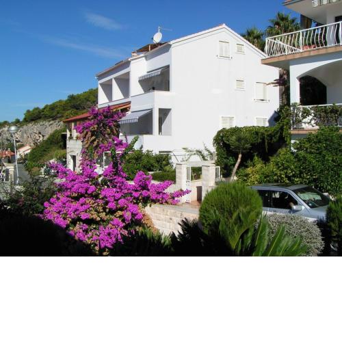 Apartments Viskovic Margita