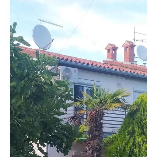 Apartments with a parking space Kosinozici, Porec - 23146