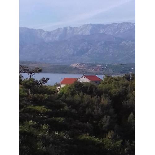 Apartments with a parking space Novigrad - 12572