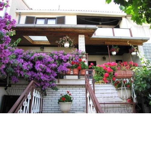 Apartments with a parking space Pula - 15757