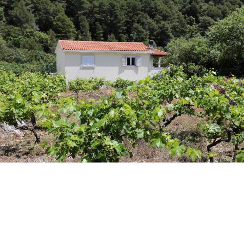 Apartments with a parking space Trstenik, Peljesac - 10109