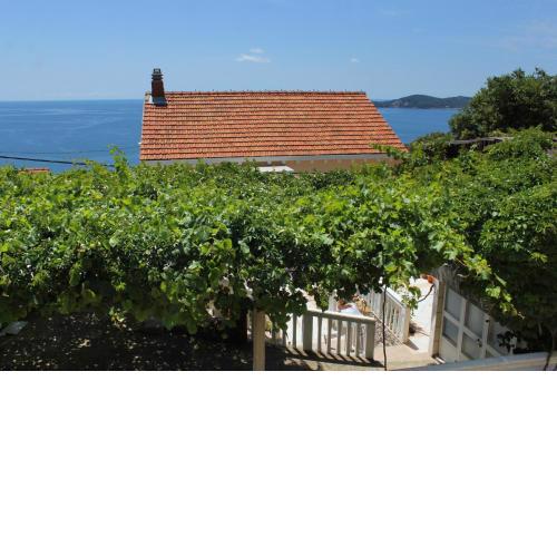 Apartments with a parking space Vrbica, Dubrovnik - 9008