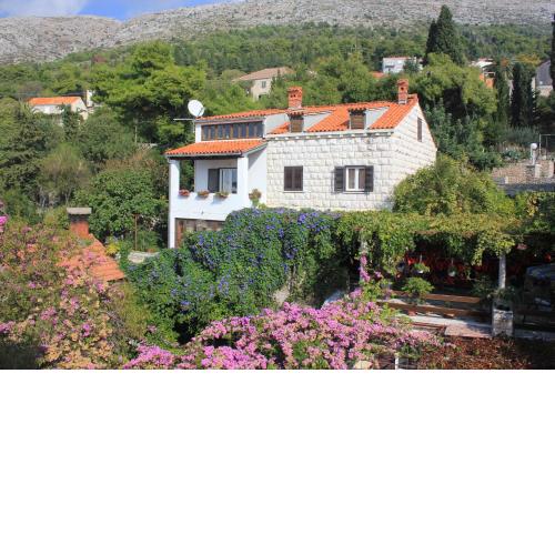Apartments with WiFi Dubrovnik - 8581