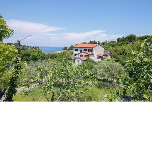 Apartments with WiFi Veli Losinj, Losinj - 19799