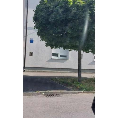 Apartments with WiFi Zagreb - 22767
