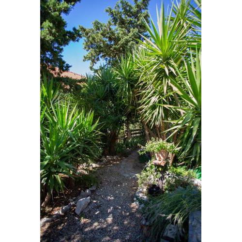 Apartments Yucca