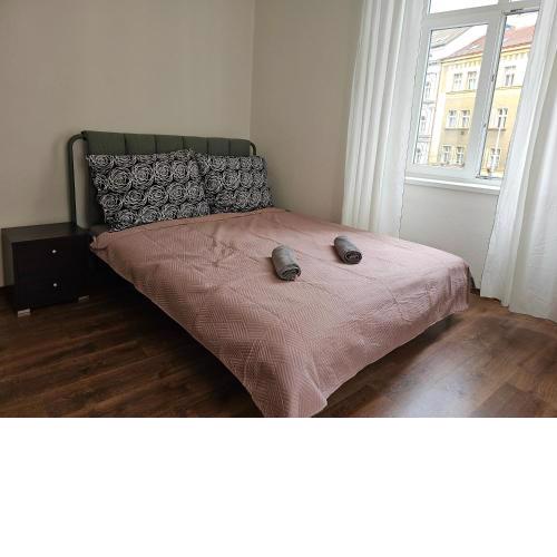 Apartments Žižkov 2c
