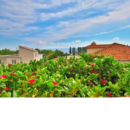 Apartments Zvone